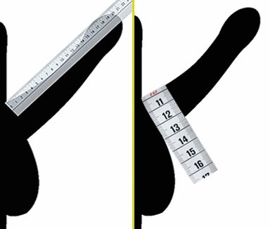 Measure penis diameter before enlargement